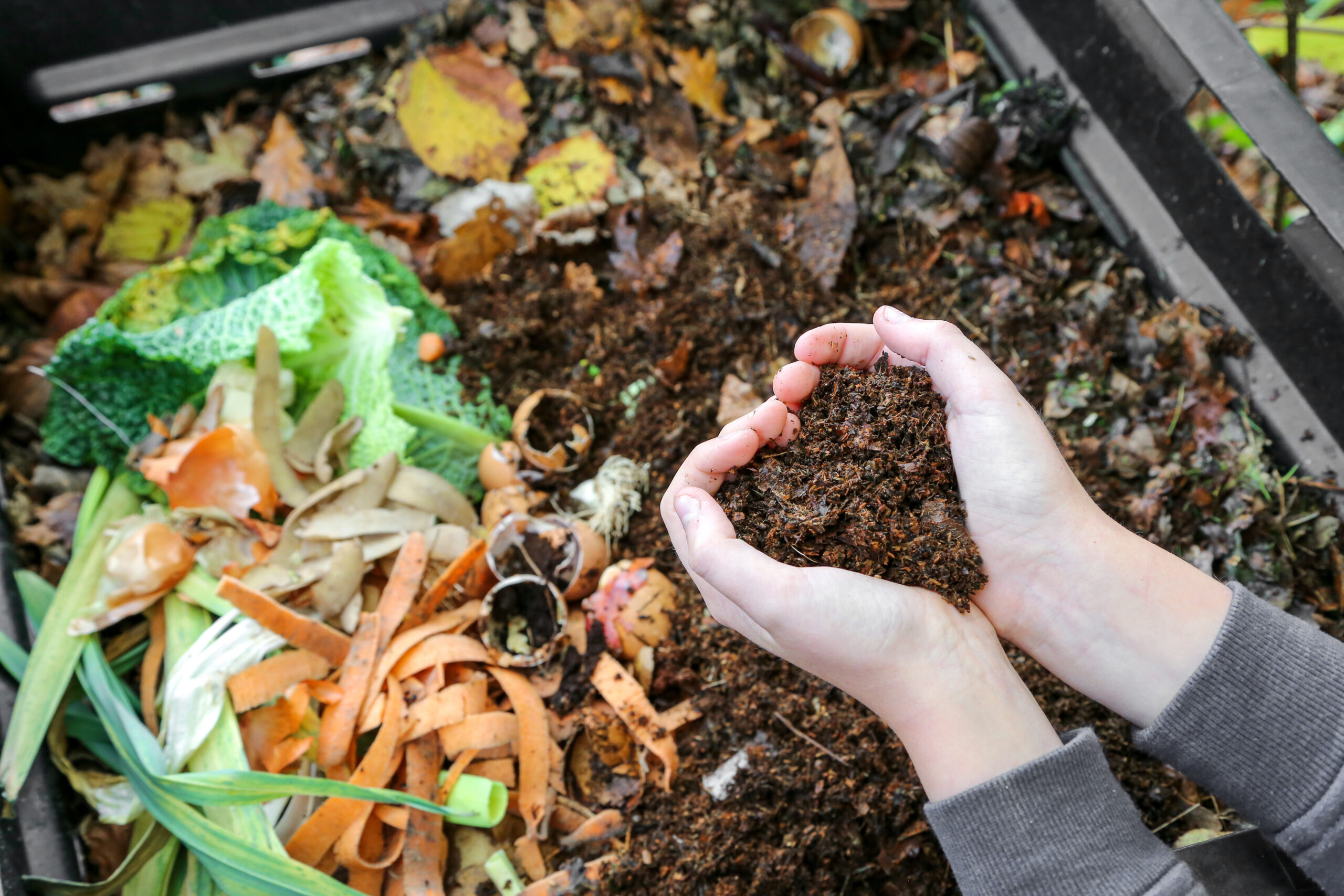 Como fazer compostagem em espaços pequenos e usá-la no jardim