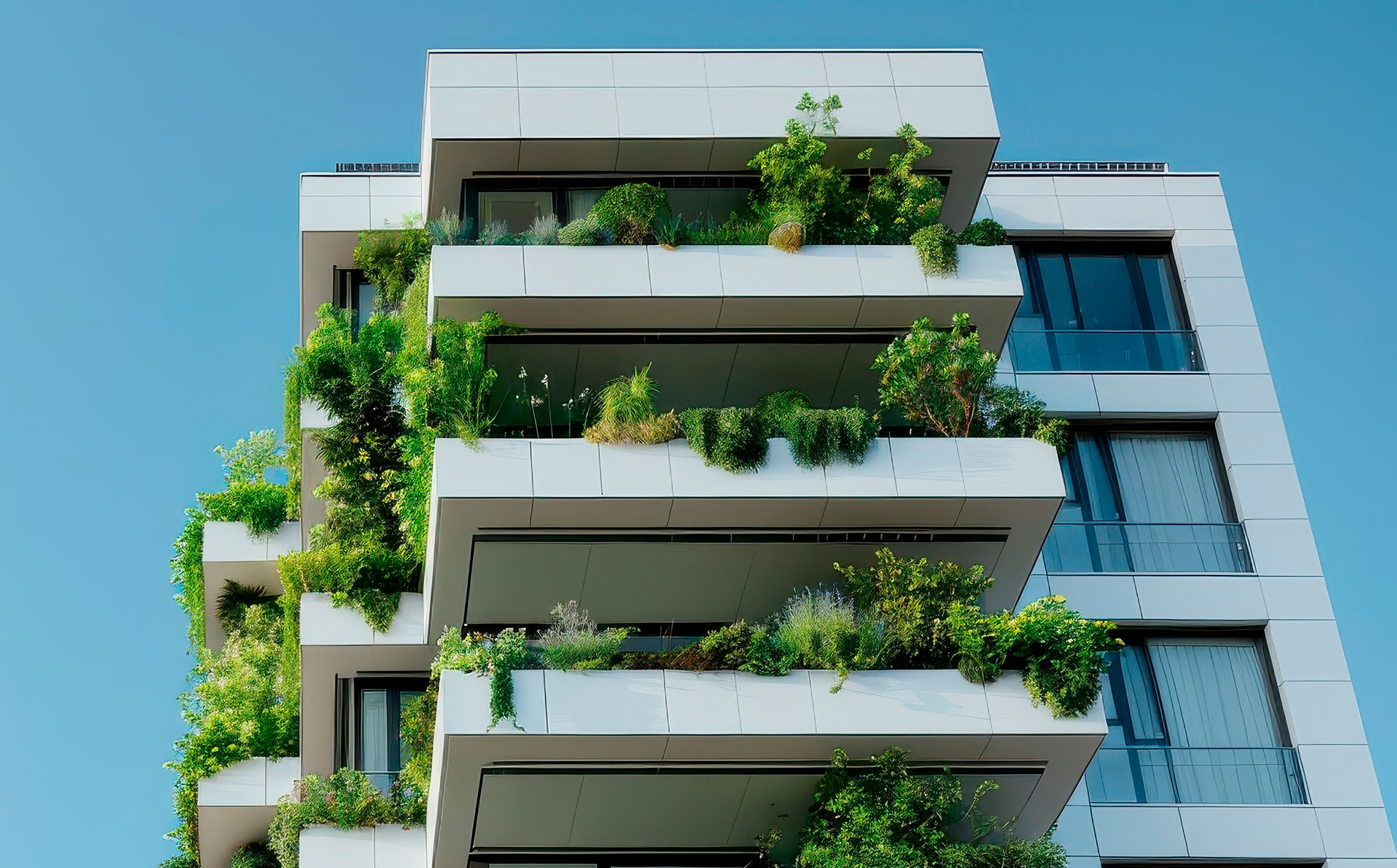 Cuidados com a regulação de umidade em jardins de apartamento