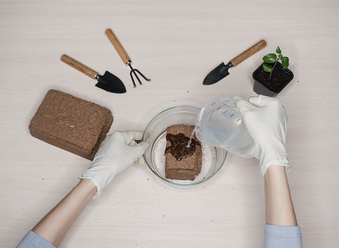 Preparação do solo para jardins verticais: nutrientes e drenagem