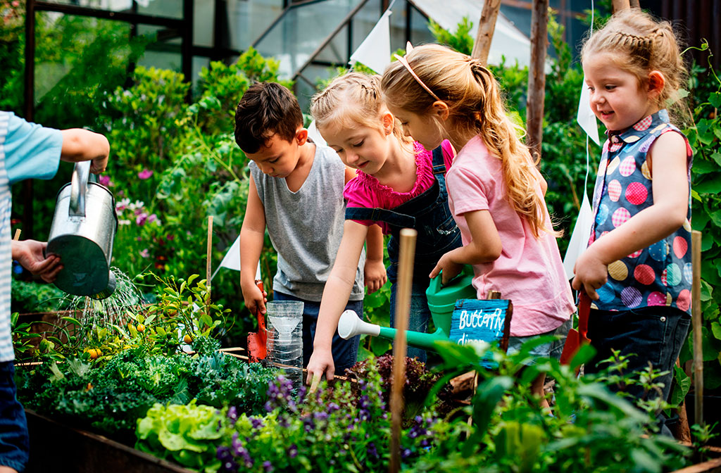 Plantas para crianças: Introduzindo a jardinagem aos pequenos