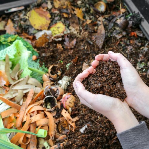 Como fazer compostagem em espaços pequenos e usá-la no jardim