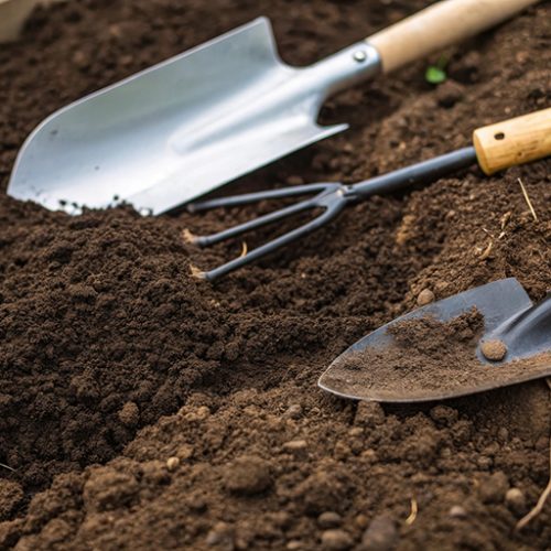 Ferramentas com design ergonômico: Como evitar dores e lesões ao cuidar do jardim
