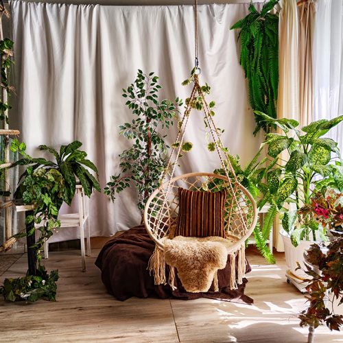 Jardim de Inverno: Como transformar um espaço em um refúgio verde