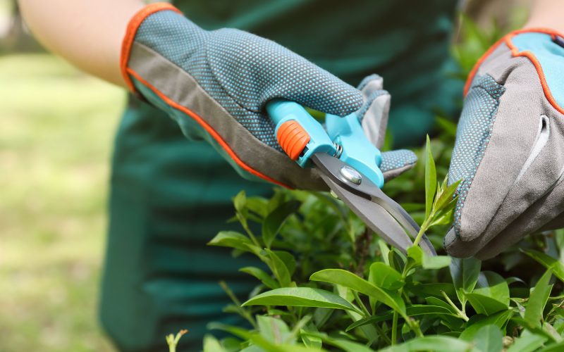 5 Ferramentas compactas indispensáveis para jardins em varandas pequenas