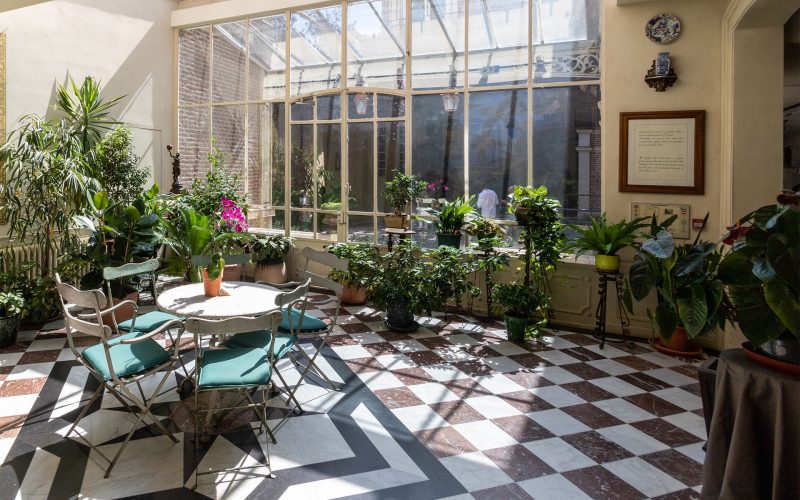 Ideias para jardim de inverno em espaços pequenos