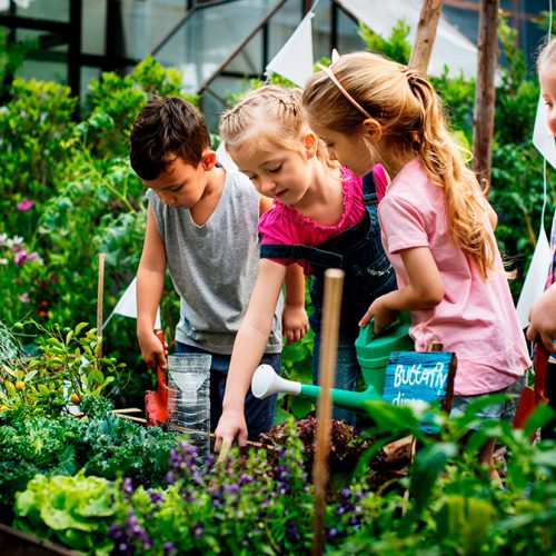 Plantas para crianças: Introduzindo a jardinagem aos pequenos