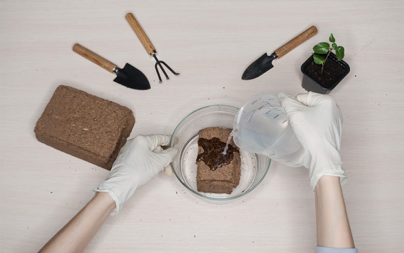 Preparação do solo para jardins verticais: nutrientes e drenagem